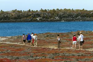 South Plaza, Islas Plaza, Galapagos Islands 235.jpg